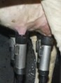 /album/fotogaleria/maquina%20de%20orde%c3%b1o-jpg/